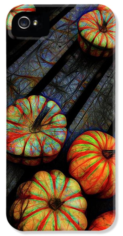 Colorful Fall Gourds - Phone Case