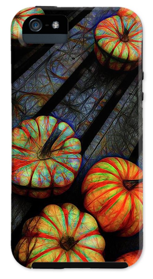 Colorful Fall Gourds - Phone Case