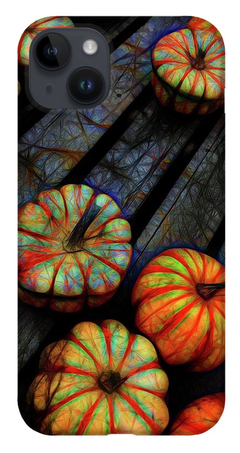 Colorful Fall Gourds - Phone Case