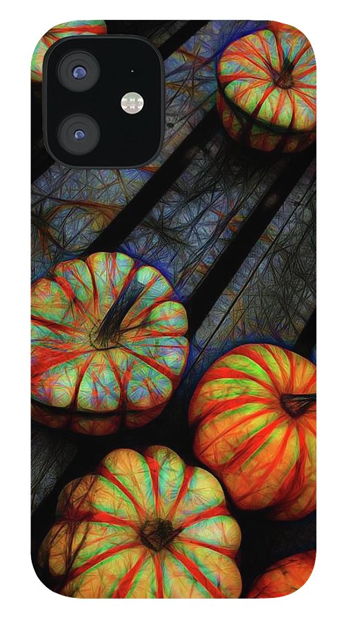 Colorful Fall Gourds - Phone Case