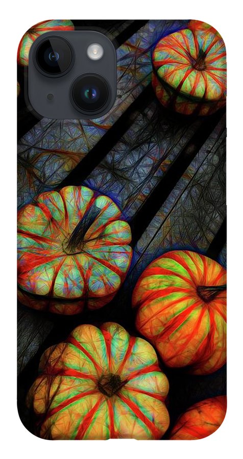 Colorful Fall Gourds - Phone Case