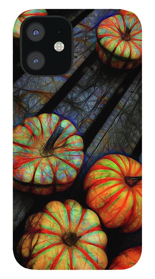 Colorful Fall Gourds - Phone Case