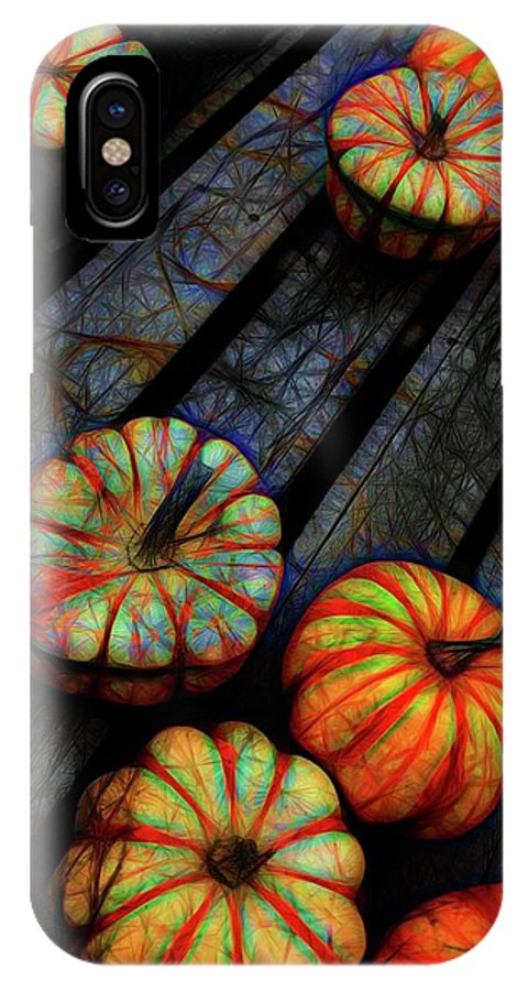 Colorful Fall Gourds - Phone Case