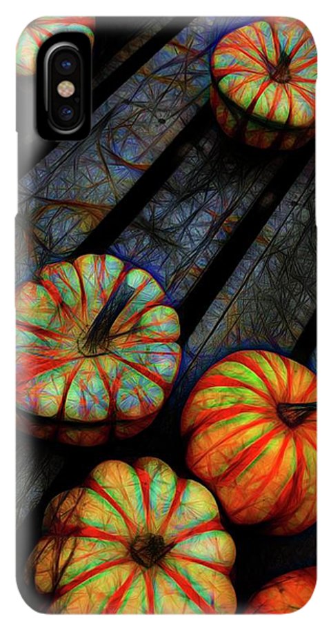 Colorful Fall Gourds - Phone Case
