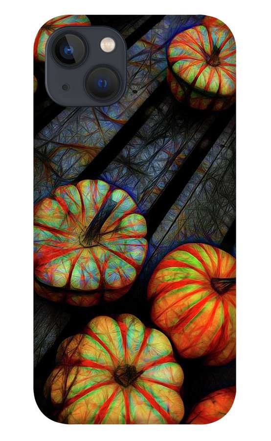 Colorful Fall Gourds - Phone Case