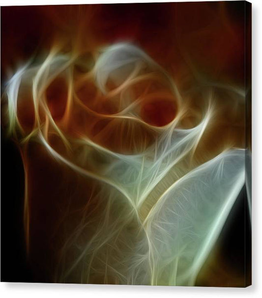 Cream and Amber Rose - Canvas Print