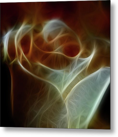 Cream and Amber Rose - Metal Print