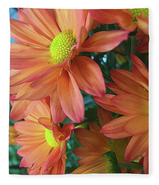 Cream and Pink Daisies Close Up - Blanket