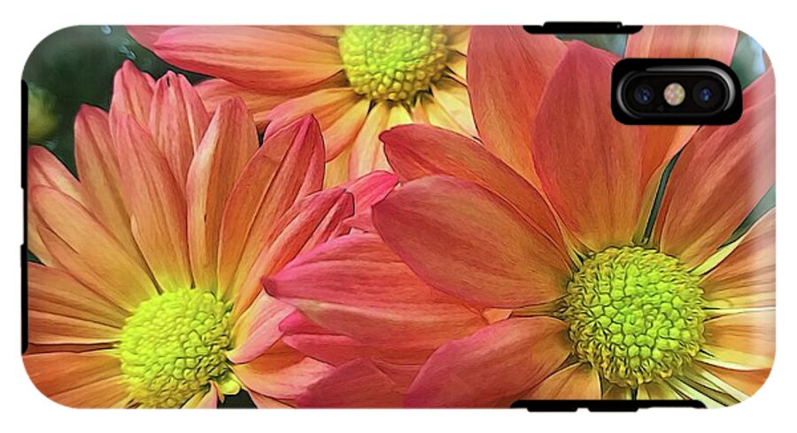 Cream And Pink Three Flower Close Up - Phone Case