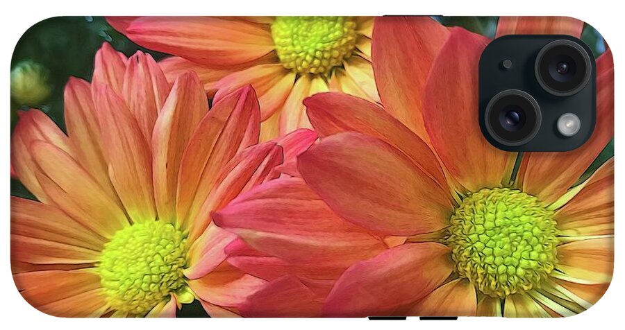 Cream And Pink Three Flower Close Up - Phone Case