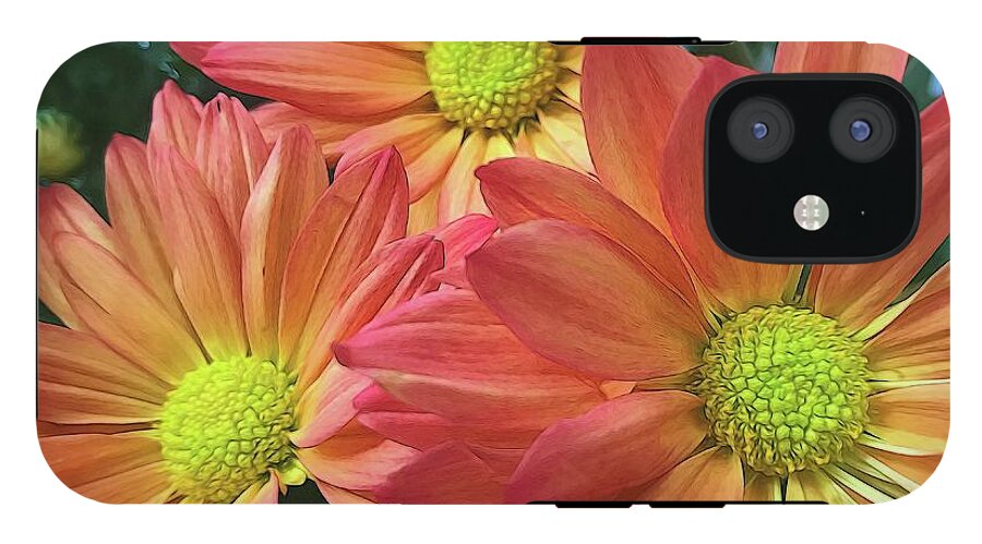 Cream And Pink Three Flower Close Up - Phone Case