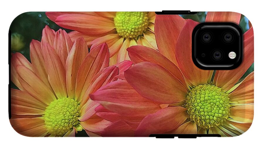 Cream And Pink Three Flower Close Up - Phone Case