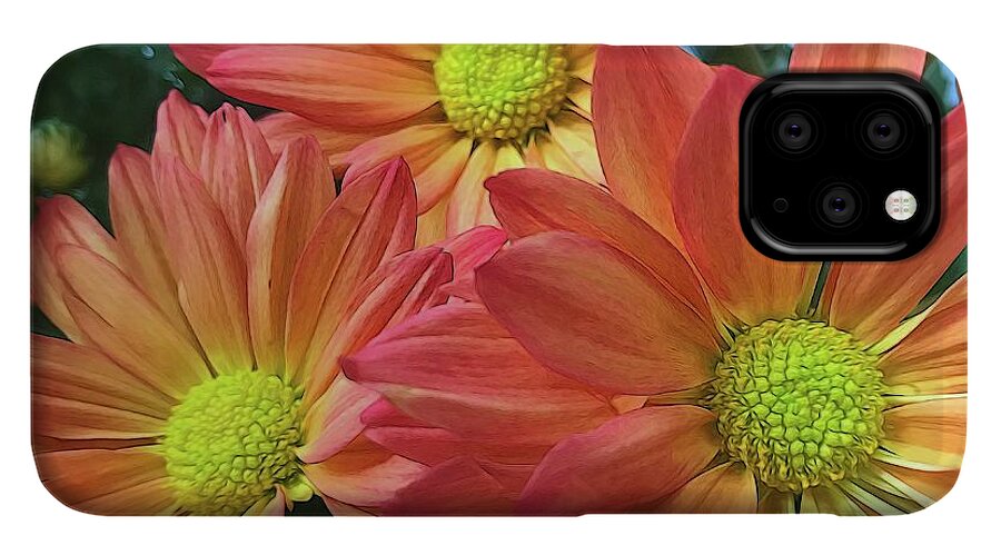 Cream And Pink Three Flower Close Up - Phone Case