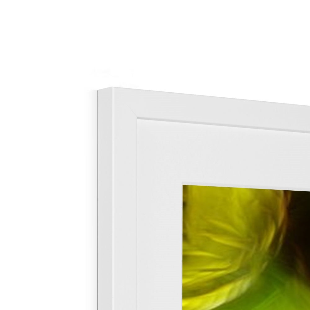 Abstract Yellow Daffodils Framed & Mounted Print