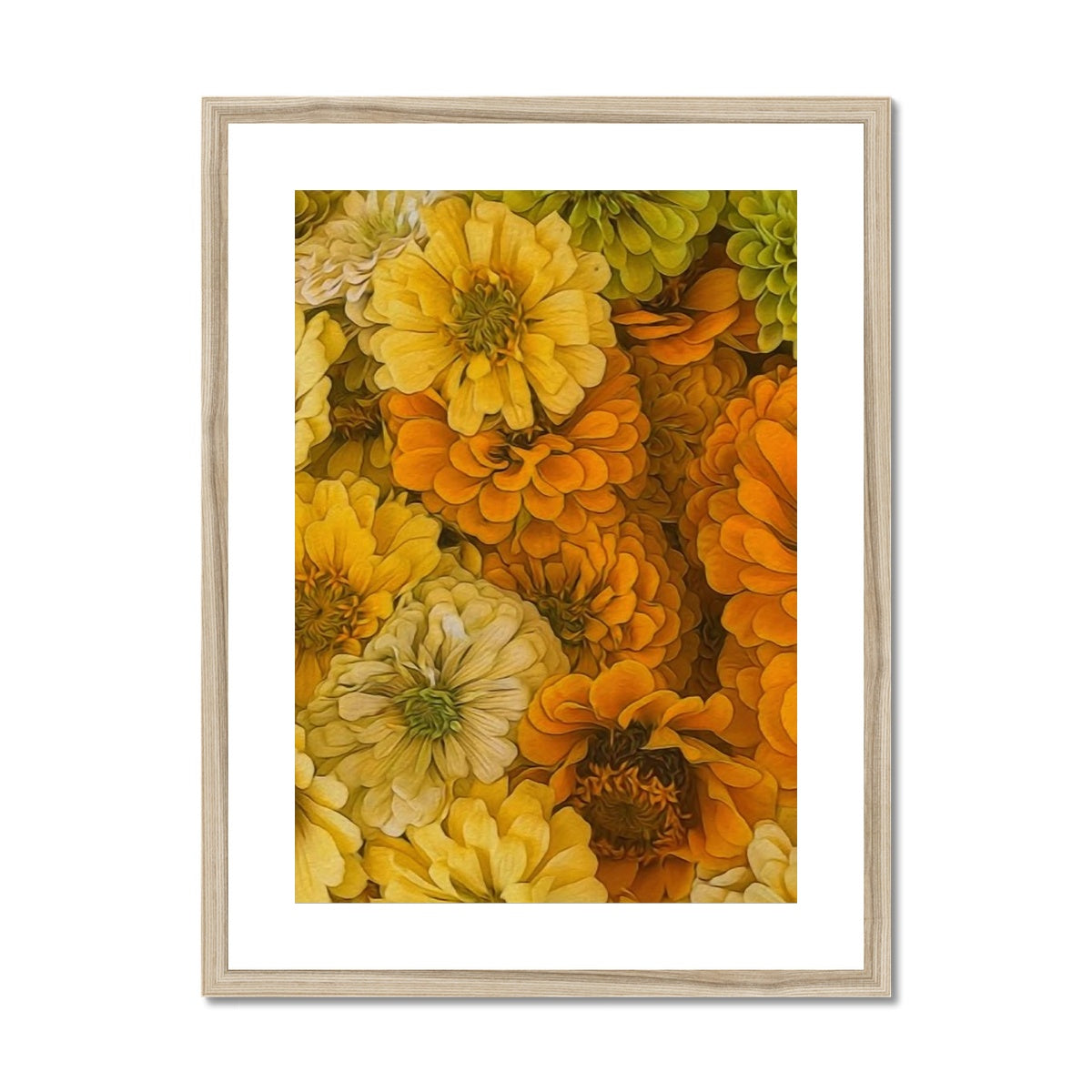 Yellow Zinnias Framed & Mounted Print