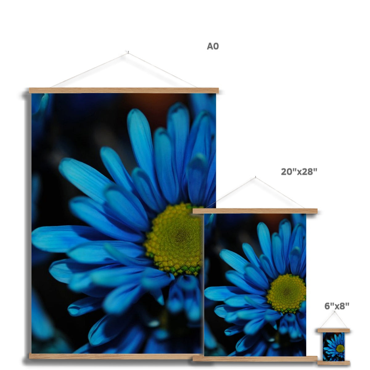 Blue Daisy Fine Art Print with Hanger