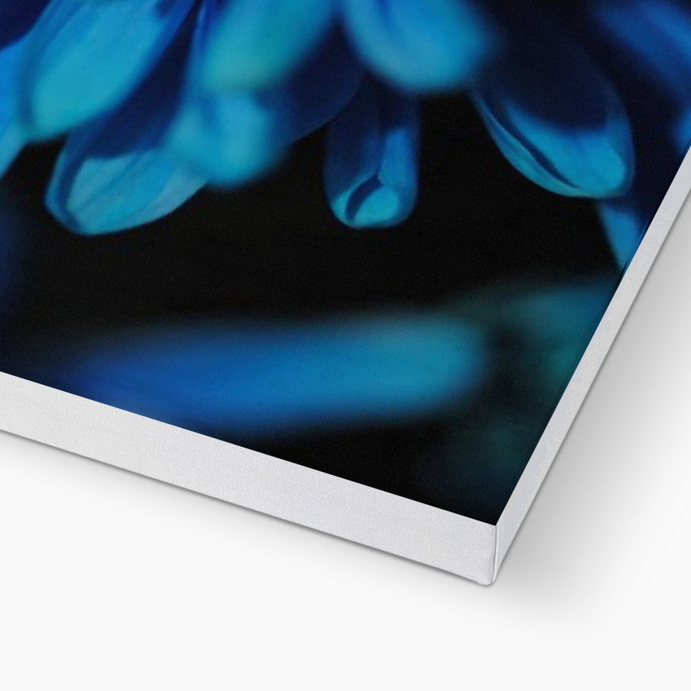Blue Daisy Canvas