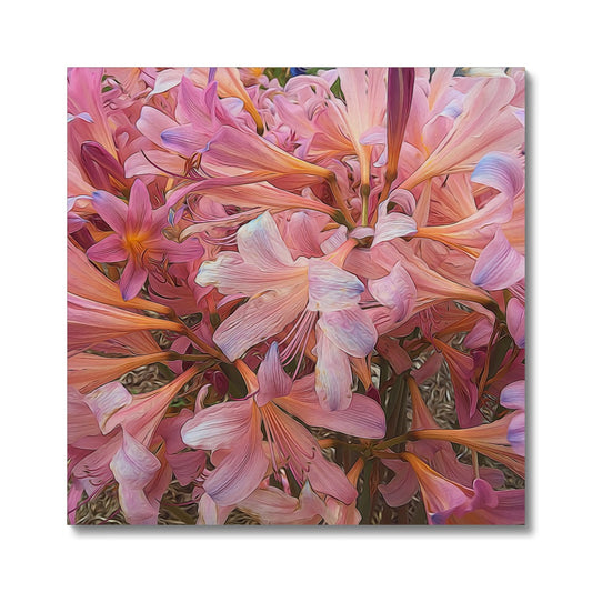 Pink Amaryllis Canvas