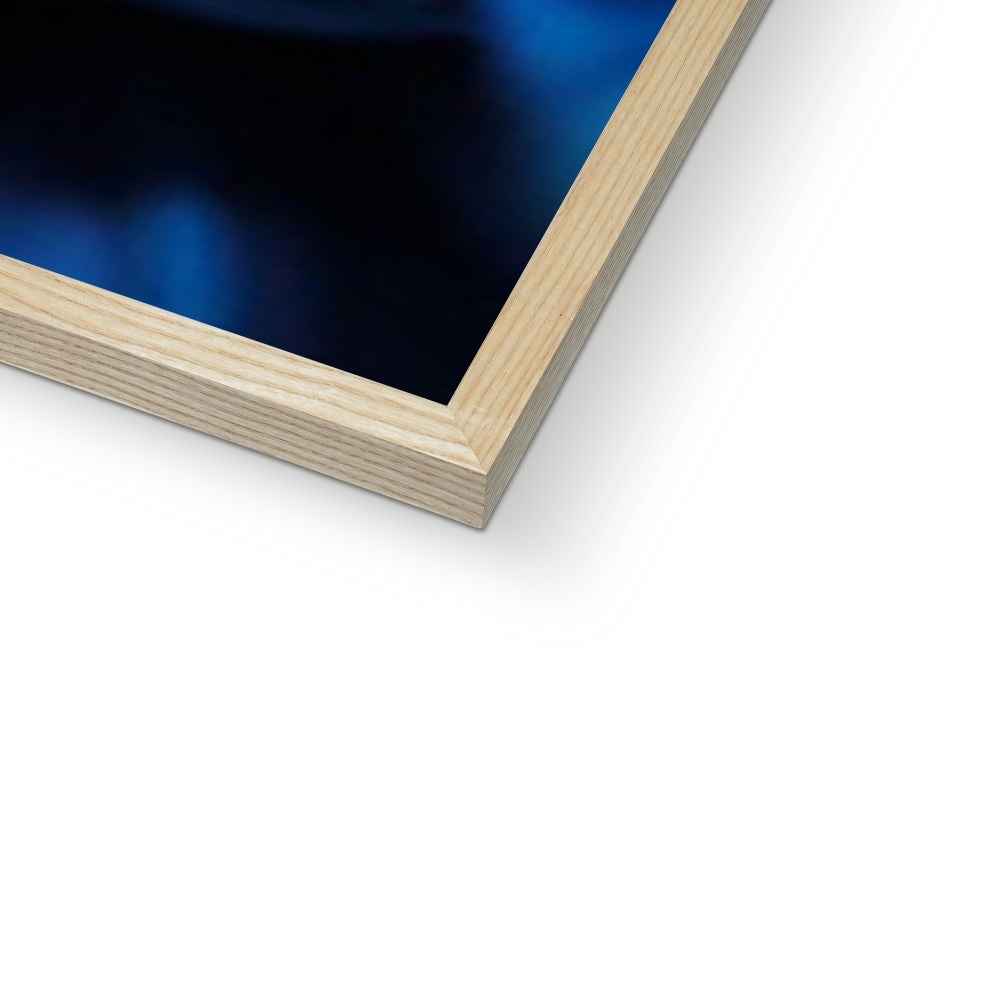 Blue Daisy Framed Print