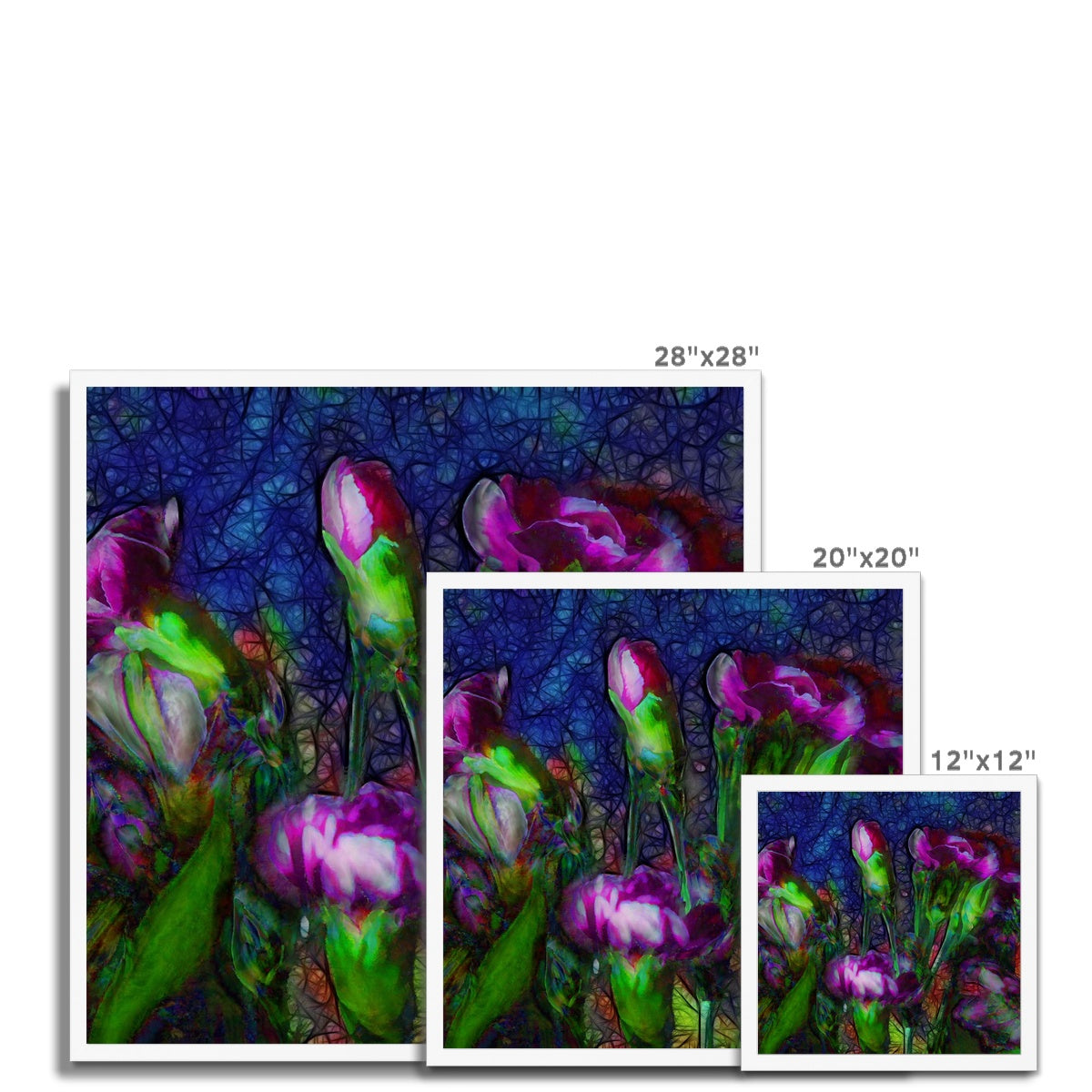 Abstract Pink Carnations Framed Print