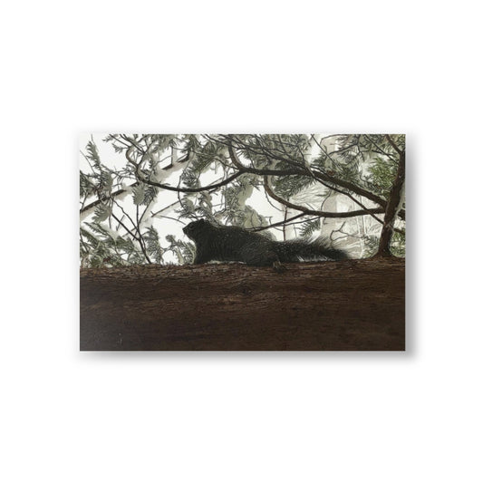 Squirrel On a Snowy Tree Postcards (10pcs)