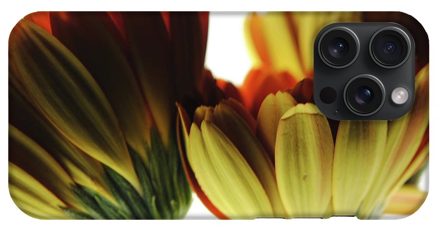 Daisy Undersides - Phone Case