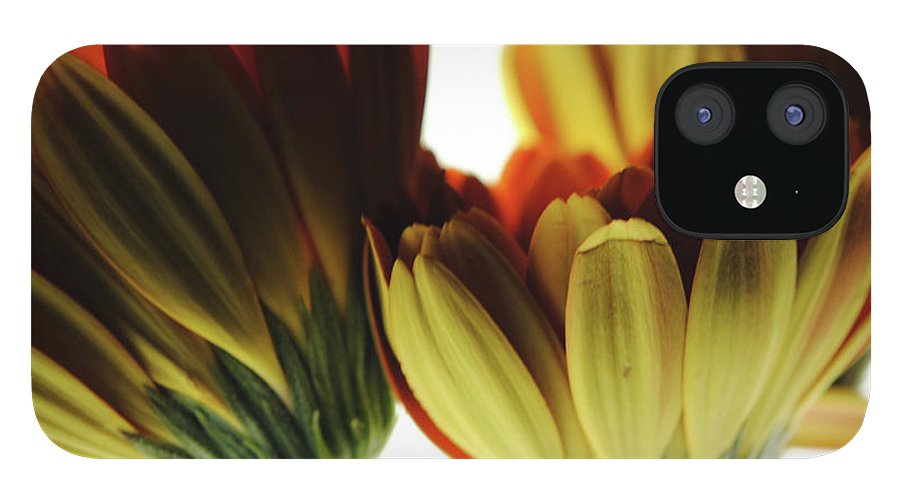 Daisy Undersides - Phone Case