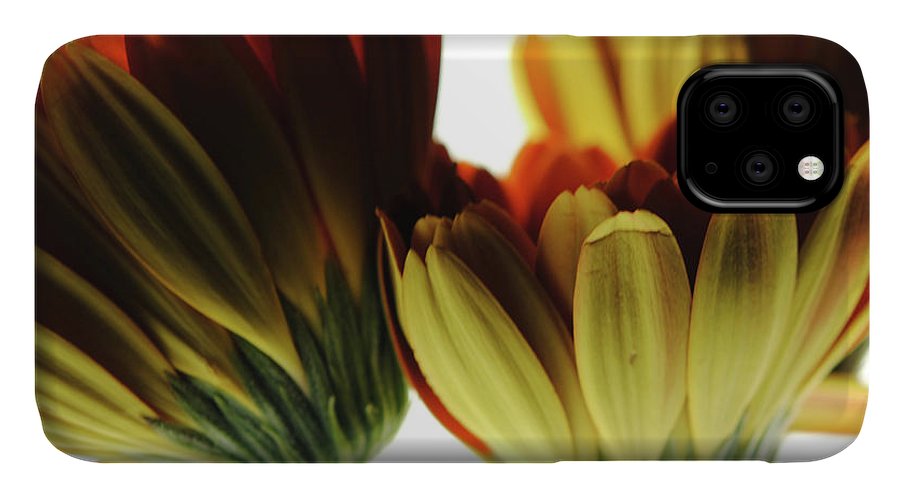 Daisy Undersides - Phone Case