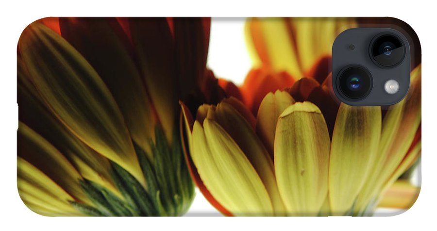 Daisy Undersides - Phone Case