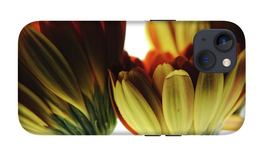 Daisy Undersides - Phone Case