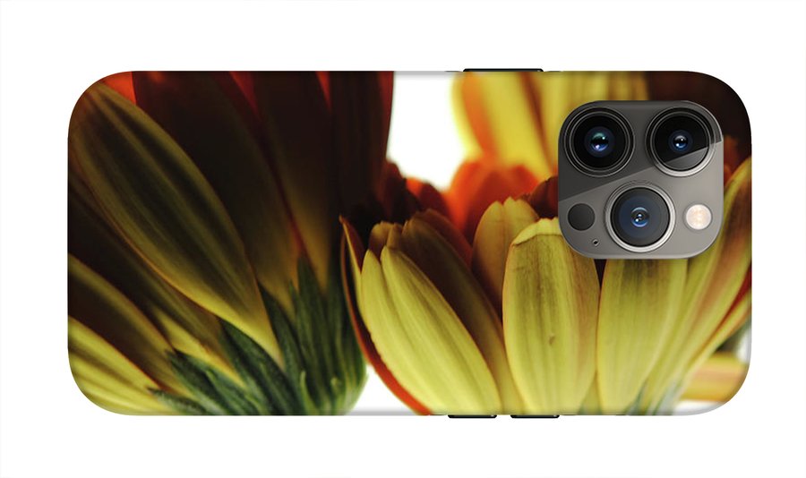 Daisy Undersides - Phone Case