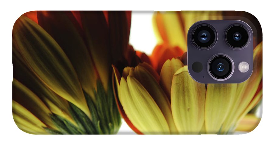 Daisy Undersides - Phone Case