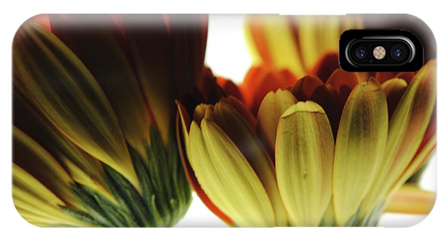 Daisy Undersides - Phone Case