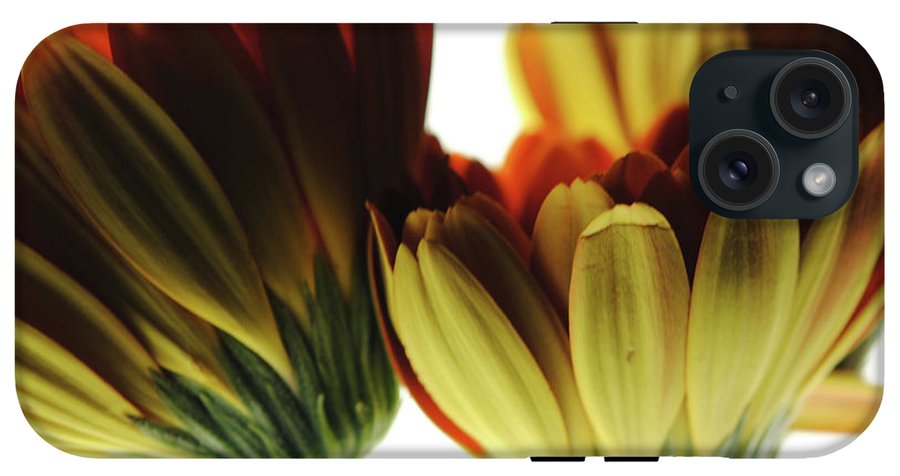 Daisy Undersides - Phone Case