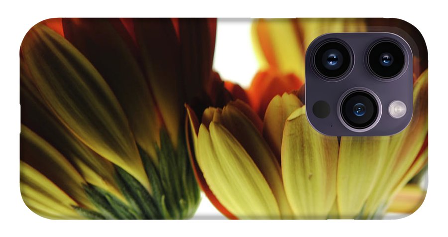 Daisy Undersides - Phone Case