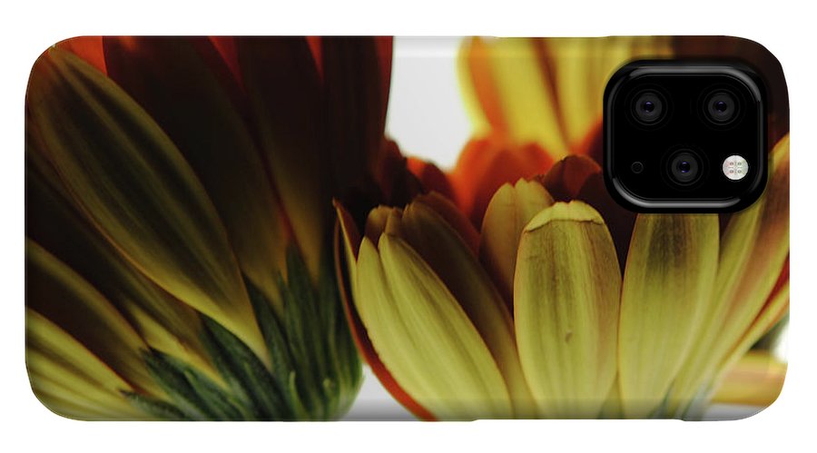 Daisy Undersides - Phone Case