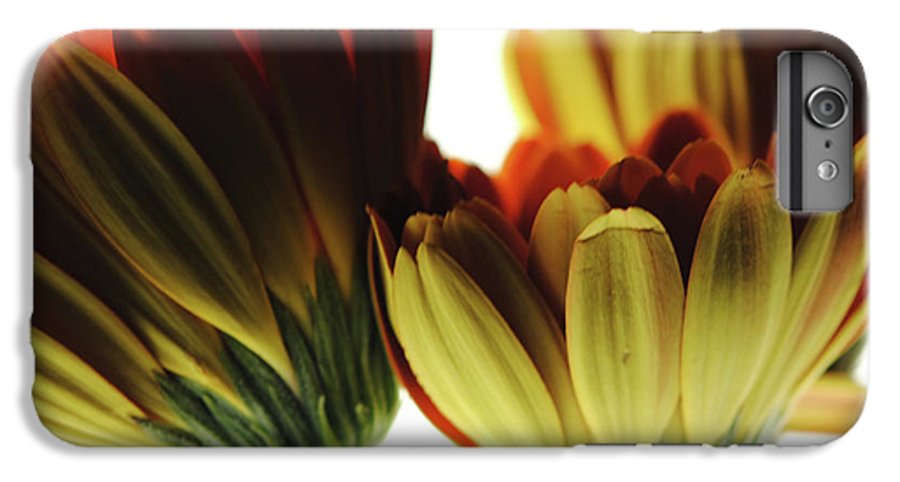 Daisy Undersides - Phone Case