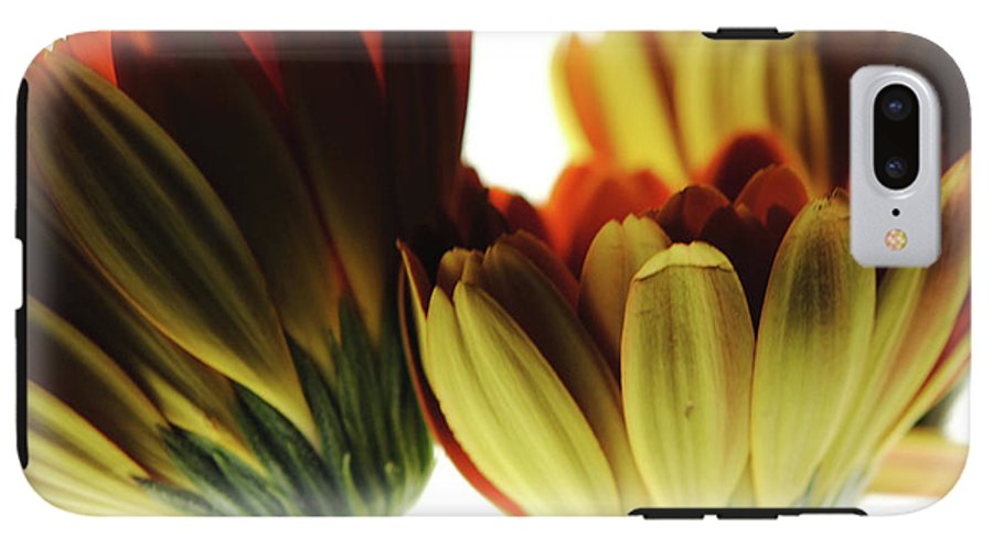 Daisy Undersides - Phone Case