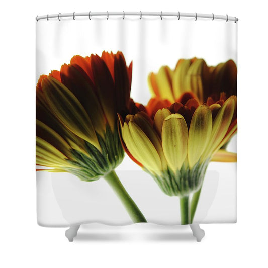 Daisy Undersides - Shower Curtain