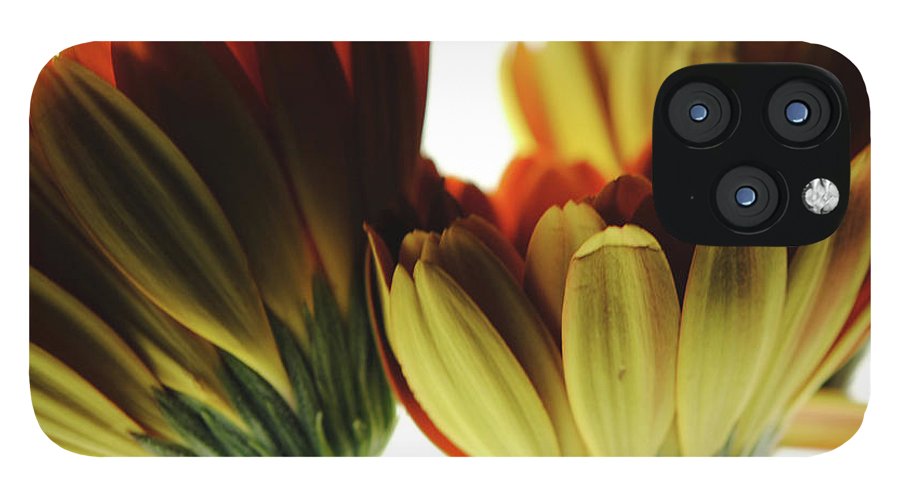 Daisy Undersides - Phone Case