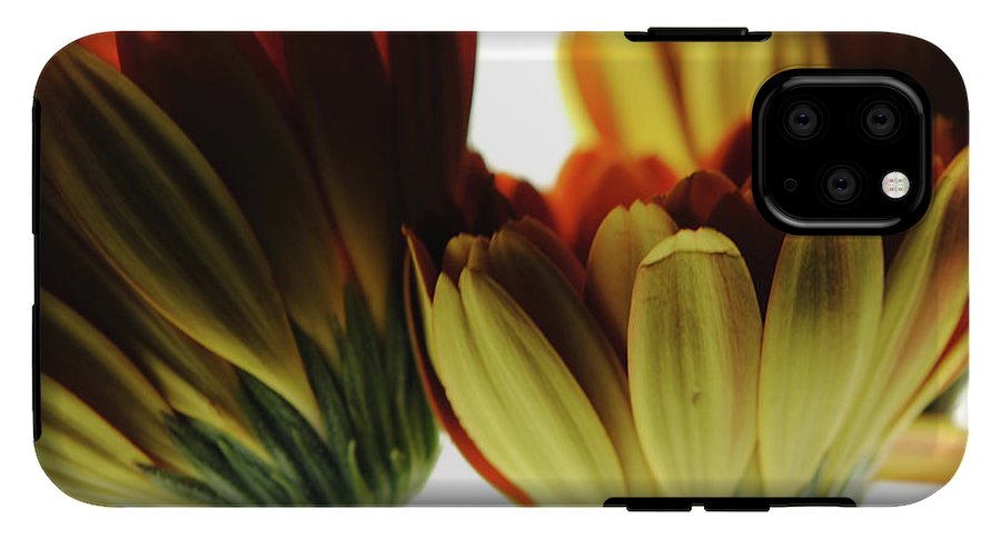 Daisy Undersides - Phone Case