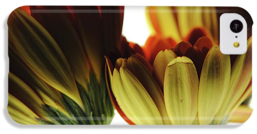 Daisy Undersides - Phone Case