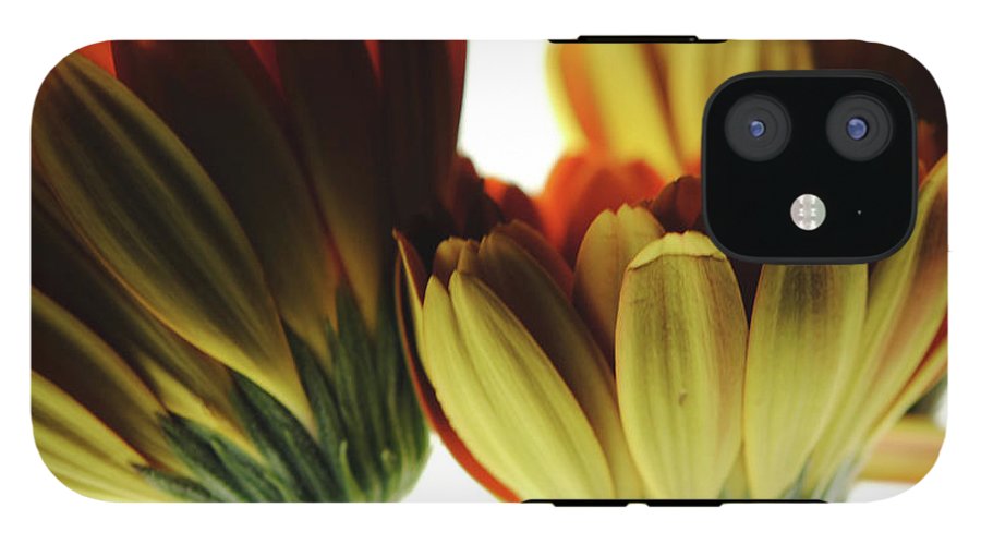 Daisy Undersides - Phone Case