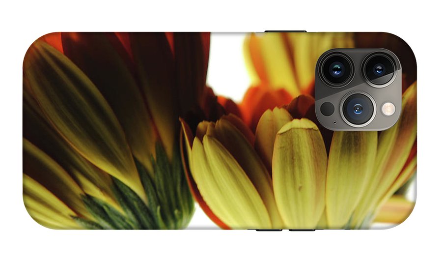 Daisy Undersides - Phone Case