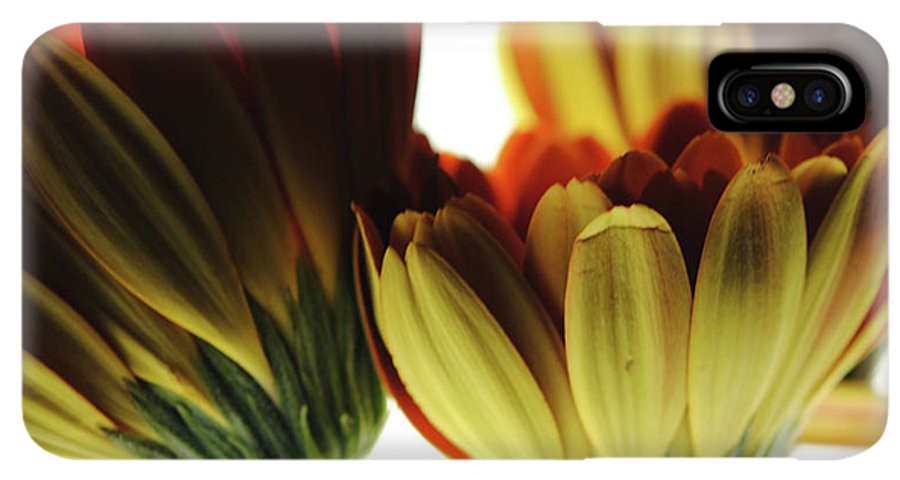 Daisy Undersides - Phone Case