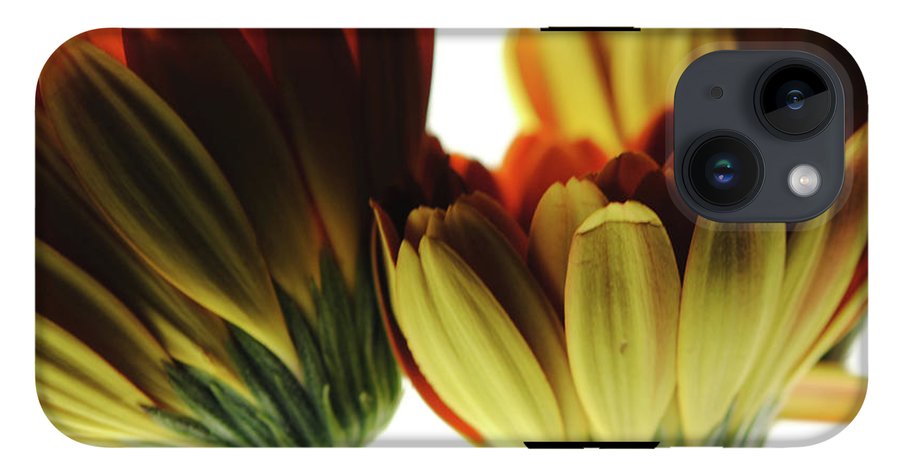 Daisy Undersides - Phone Case