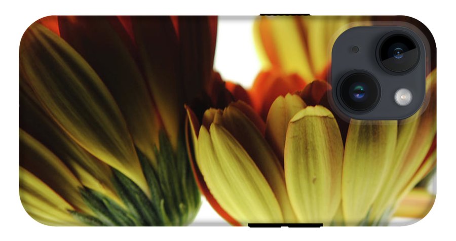 Daisy Undersides - Phone Case