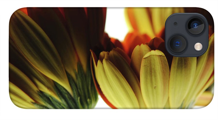 Daisy Undersides - Phone Case