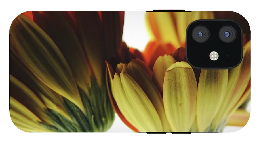 Daisy Undersides - Phone Case