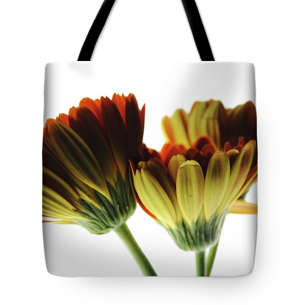Daisy Undersides - Tote Bag